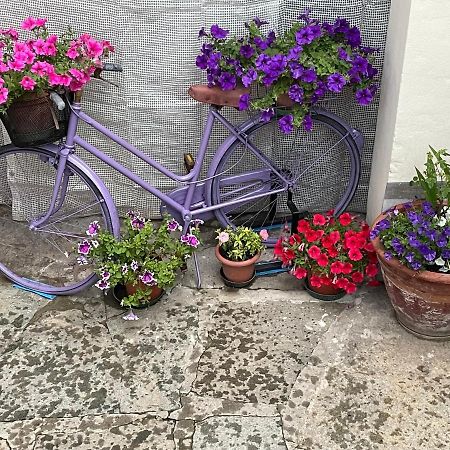 Apartamento L'Orologio Panoramico Luserna San Giovanni Exterior foto